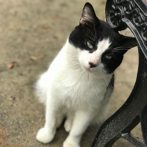 Meet your Posher, Cesar